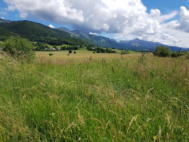 atelier terre en vercors ressourcement créativité céramique